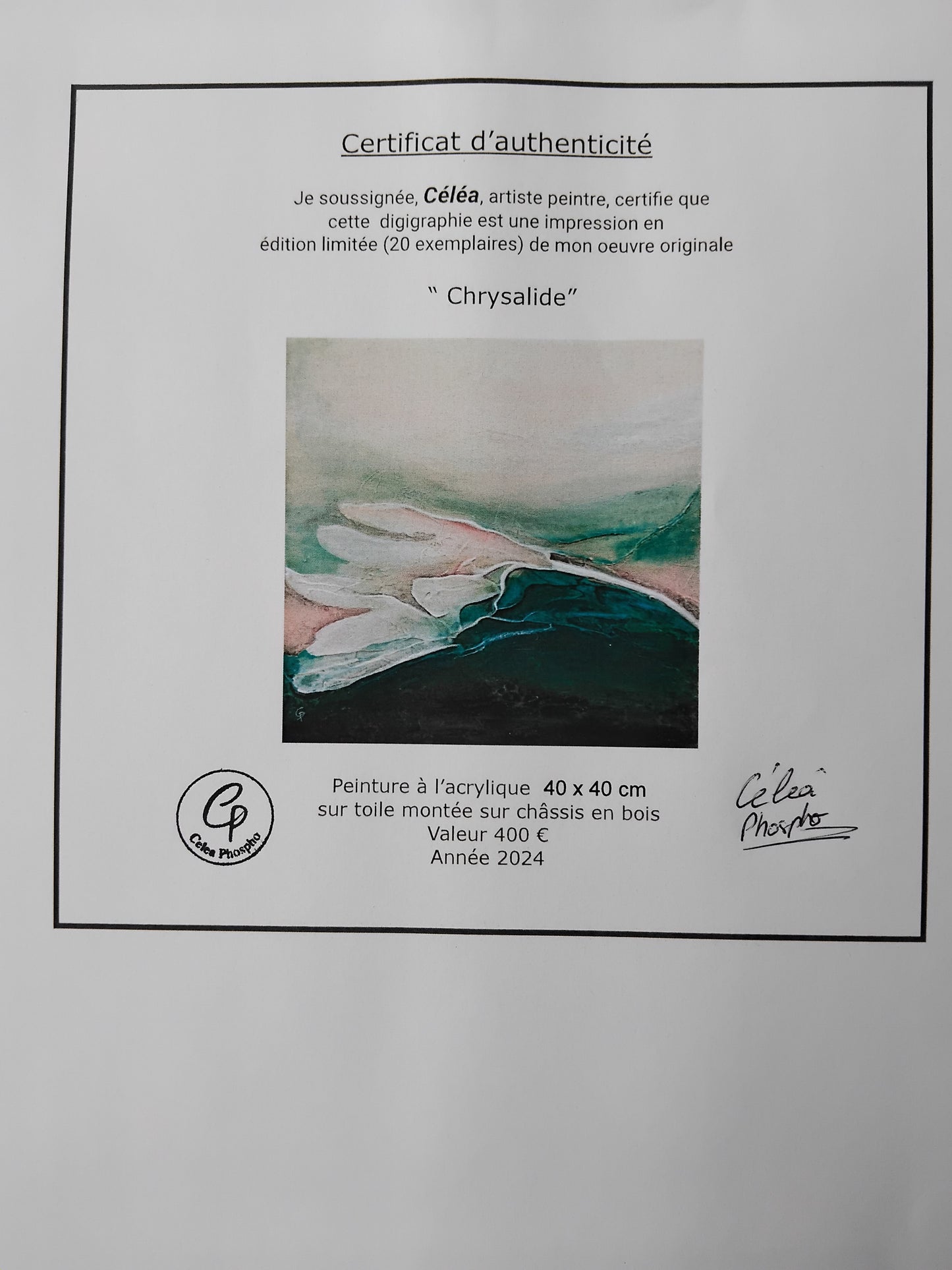 Digigraphie Chrysalide